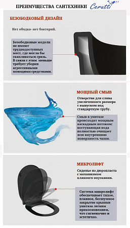 Унитаз подвесной Ceruttispa ОРЛТЕР (ORLTER) Aria MBF CT10017 безободковый (485х360х360) черный матовый