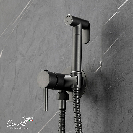 Смеситель с гигиеническим душем Ceruttispa БРАЙС SHGR (BRAIES SHGR) из латуни с шлангом 120 см, цвет серый