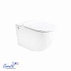 Унитаз подвесной Ceruttispa БАРБАРИЯ (BARBARIA) Aria Pulse CT10591 (585х360х330) с функцией импульсного смыва БЕЗ РАМЫ